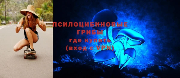 твердый Нягань