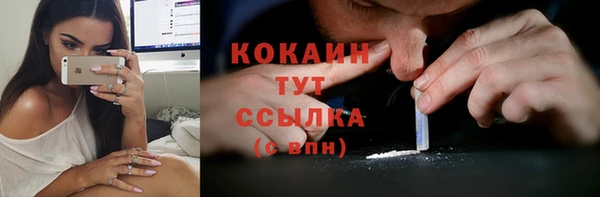 твердый Нягань