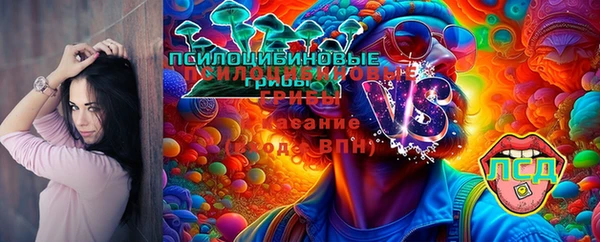 бошки Абаза