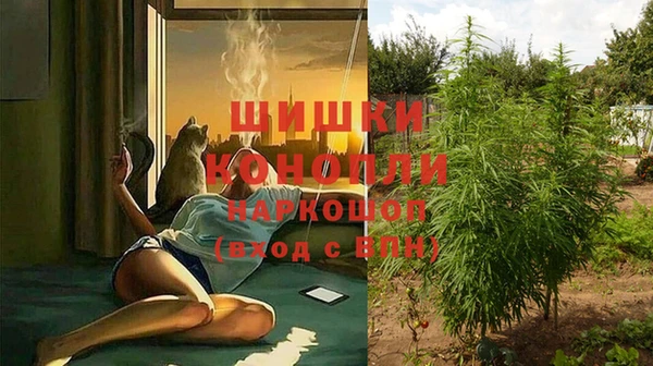 твердый Нягань
