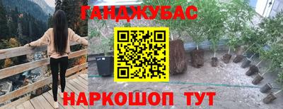 стаф Абинск