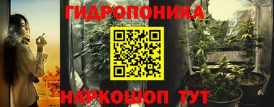 гашик Абакан