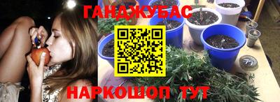 стаф Абинск