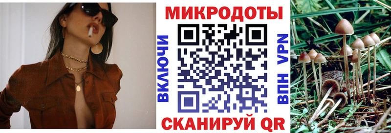 Галлюциногенные грибы Psilocybine cubensis  где можно купить   Алейск 