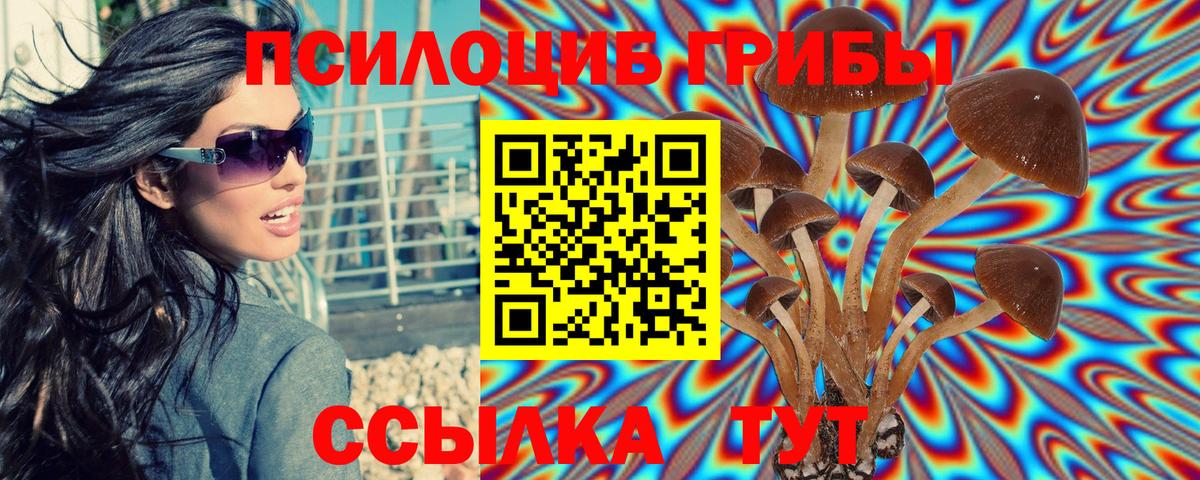 Псилоцибиновые грибы Psilocybe  Вход с VPN  что такое наркотик  Алейск 